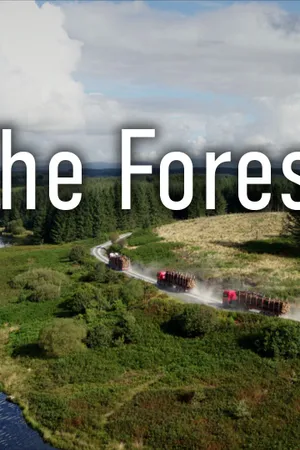 The Forest