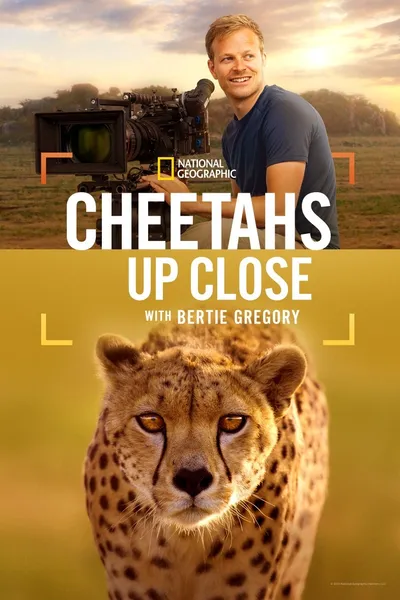 Cheetahs Up Close with Bertie Gregory