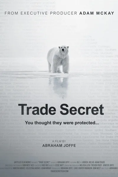 Trade Secret