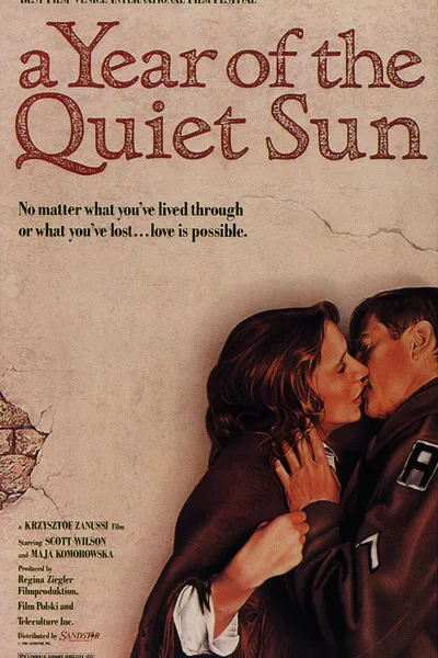 A Year of the Quiet Sun