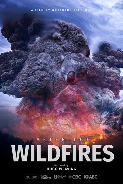 After the Wildfires