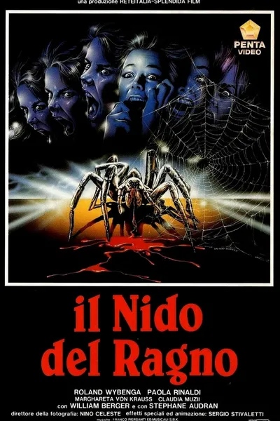 The Spider Labyrinth