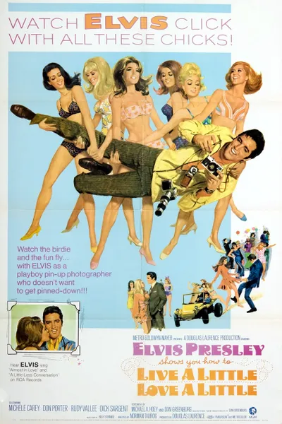 Live a Little, Love a Little